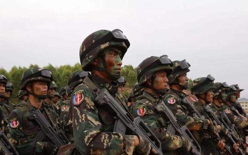 特种兵格斗训练视频,硬核技能全解析