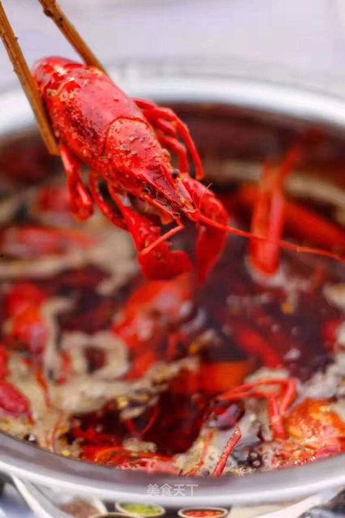 麻辣小龙虾视频,辣味十足！麻辣小龙虾视频大揭秘