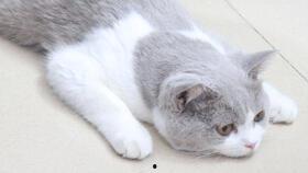 喂两边奶视频,喂奶视频背后的温馨故事