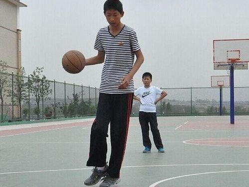 刘泽文视频,揭秘成功背后的故事与智慧