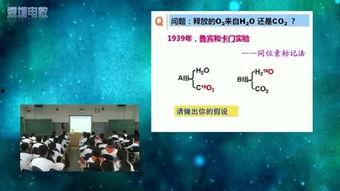 万生物视频,探索生命奥秘的视觉之旅