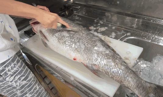 鱼咬架视频,揭秘鱼儿间的“咬架”大战