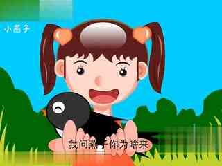 洗脸歌儿歌视频