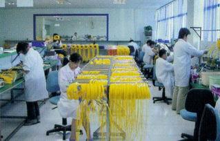 光纤生产视频,从原料到成品的光路之旅