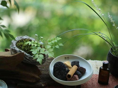 九日送别视频,深情告别,共赴新征程