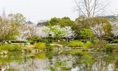 九日送别视频,深情告别,共赴新征程
