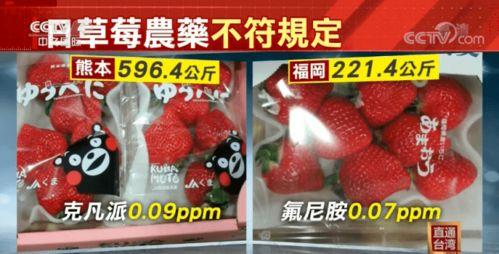 日本草莓视频,揭秘日本草莓产业的魅力与挑战